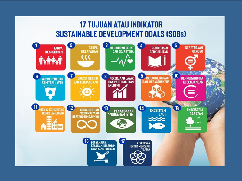 Sustainable Development Goals Image